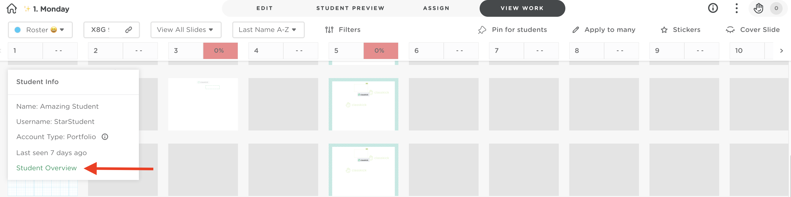 View Work tab showing the Student Overview option used to open the student progress dashboard.