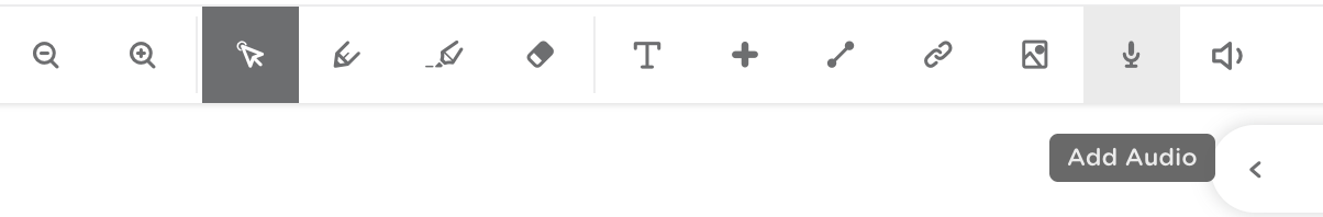 Student toolbar with the audio tool highlighted.