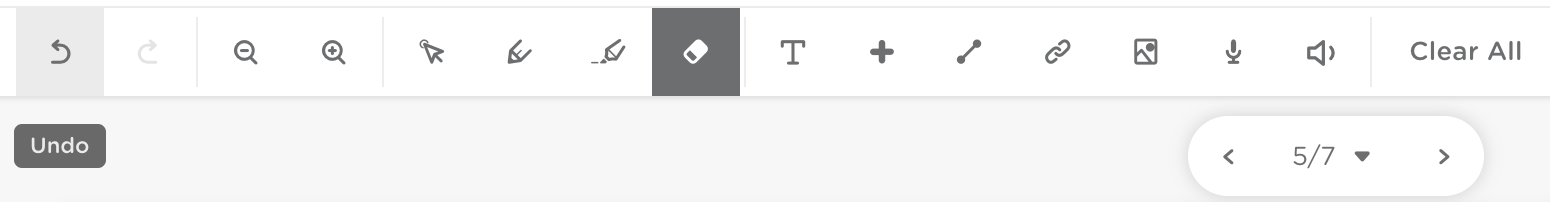Student toolbar view with the Undo button highlighted.