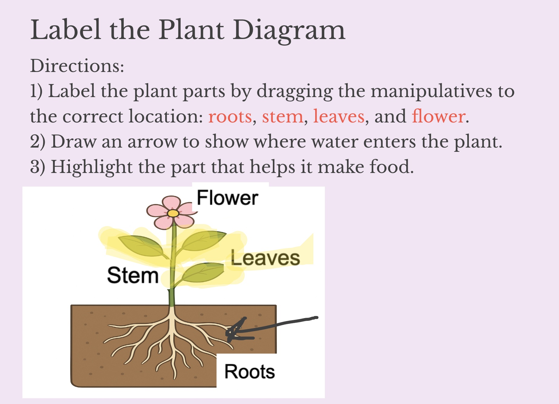 Plant diagram activity in Classkick where students label parts of a plant and use visual annotations to demonstrate understanding.