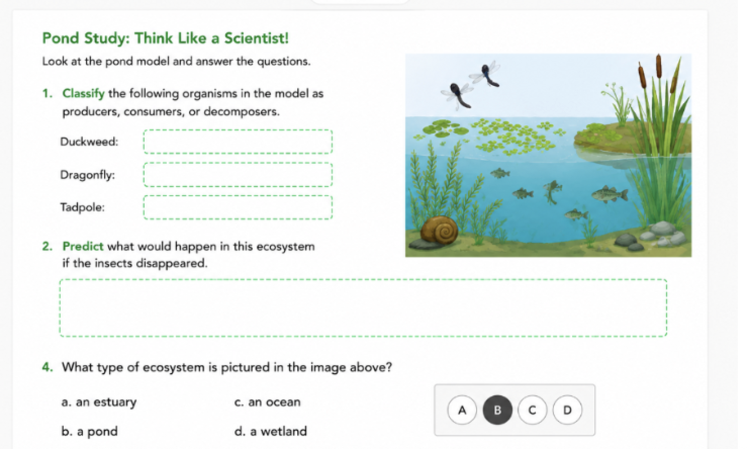 Science assignment in Classkick where students demonstrate understanding through written responses, multiple-choice questions, and interactive activities about a pond ecosystem.